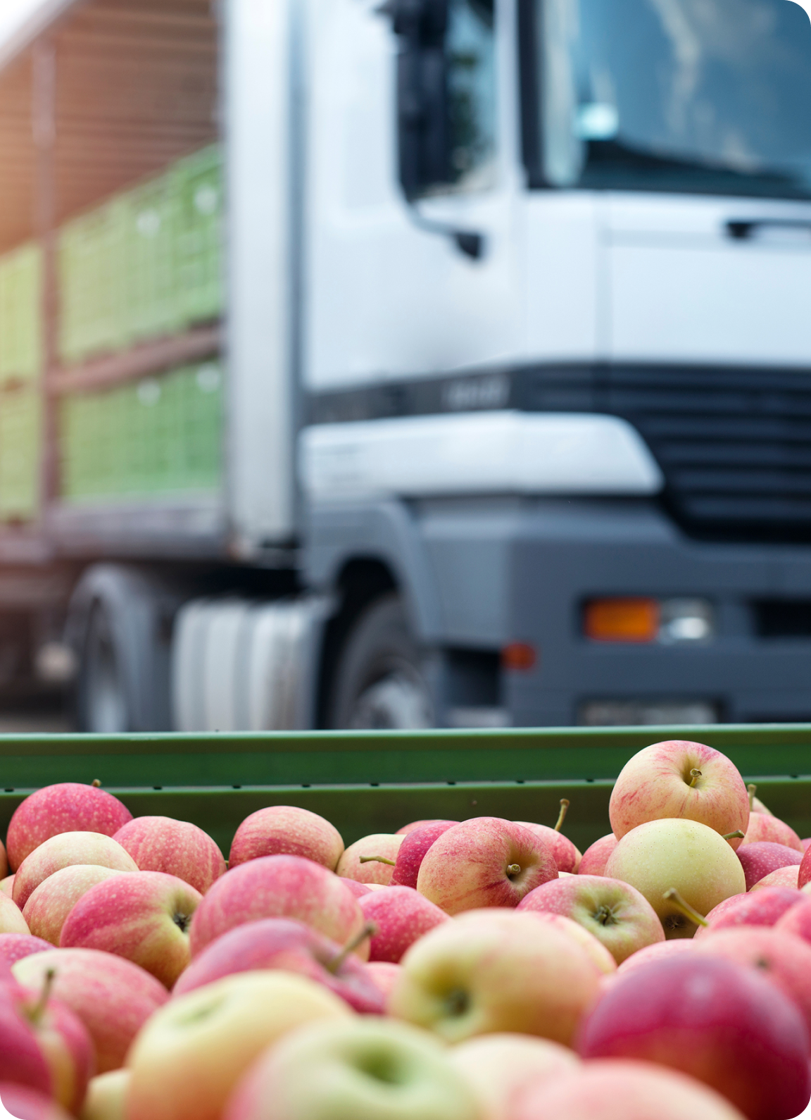 Distribucion de alimentos